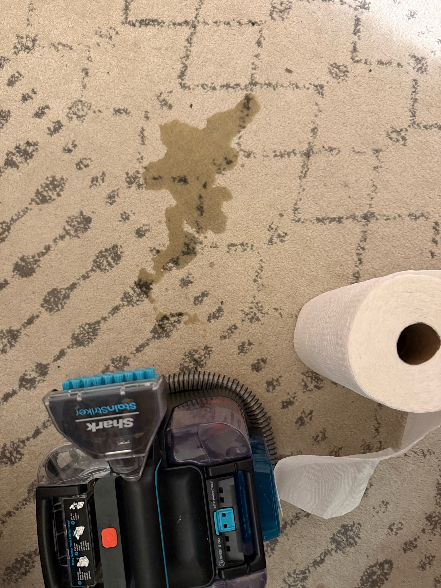 this dog mess is no trouble for my shark stainstriker

#LTKdayinmylife #LTKmomlife #LTKHome