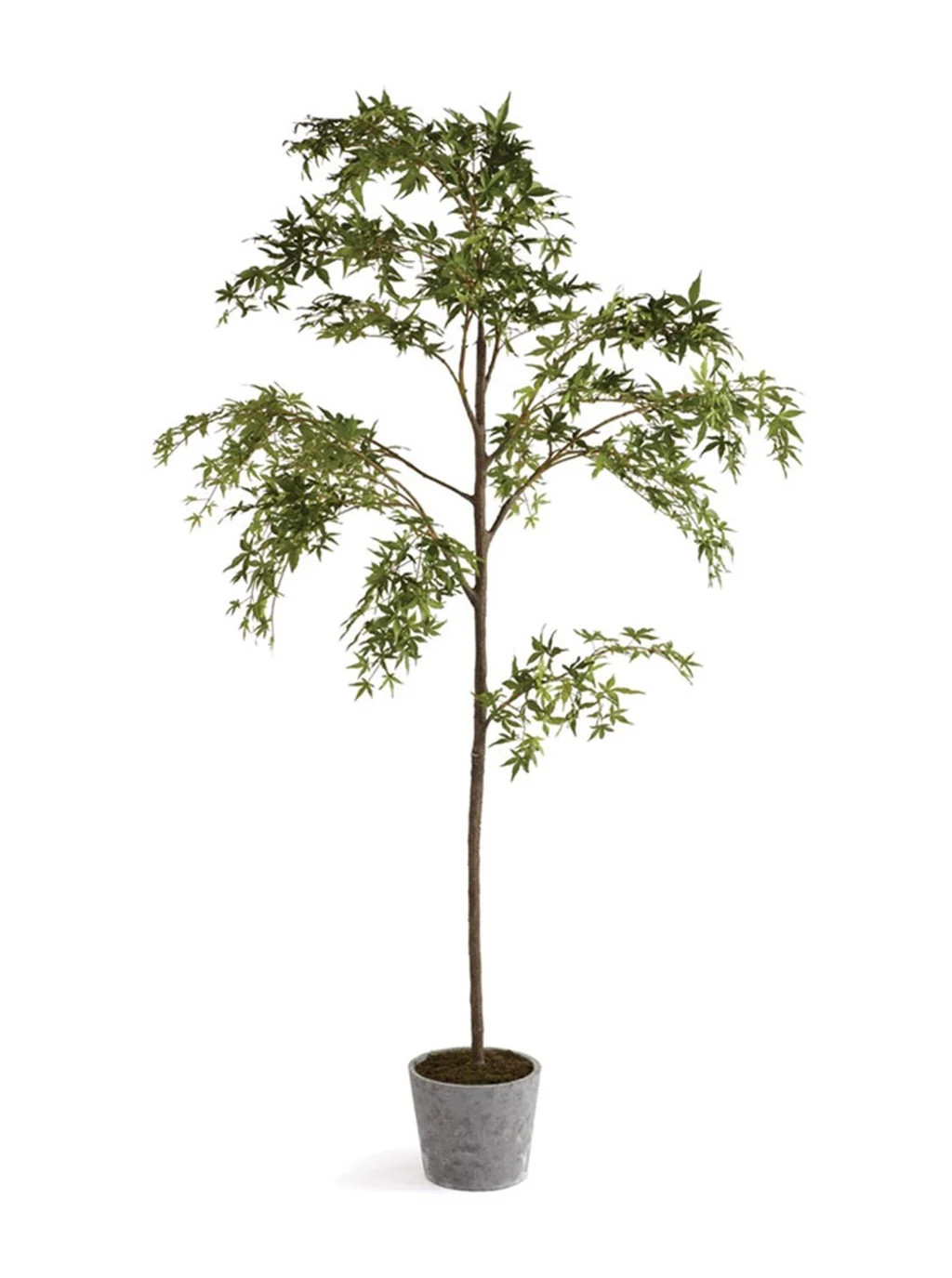 Faux Maple Tree | House of Jade Home