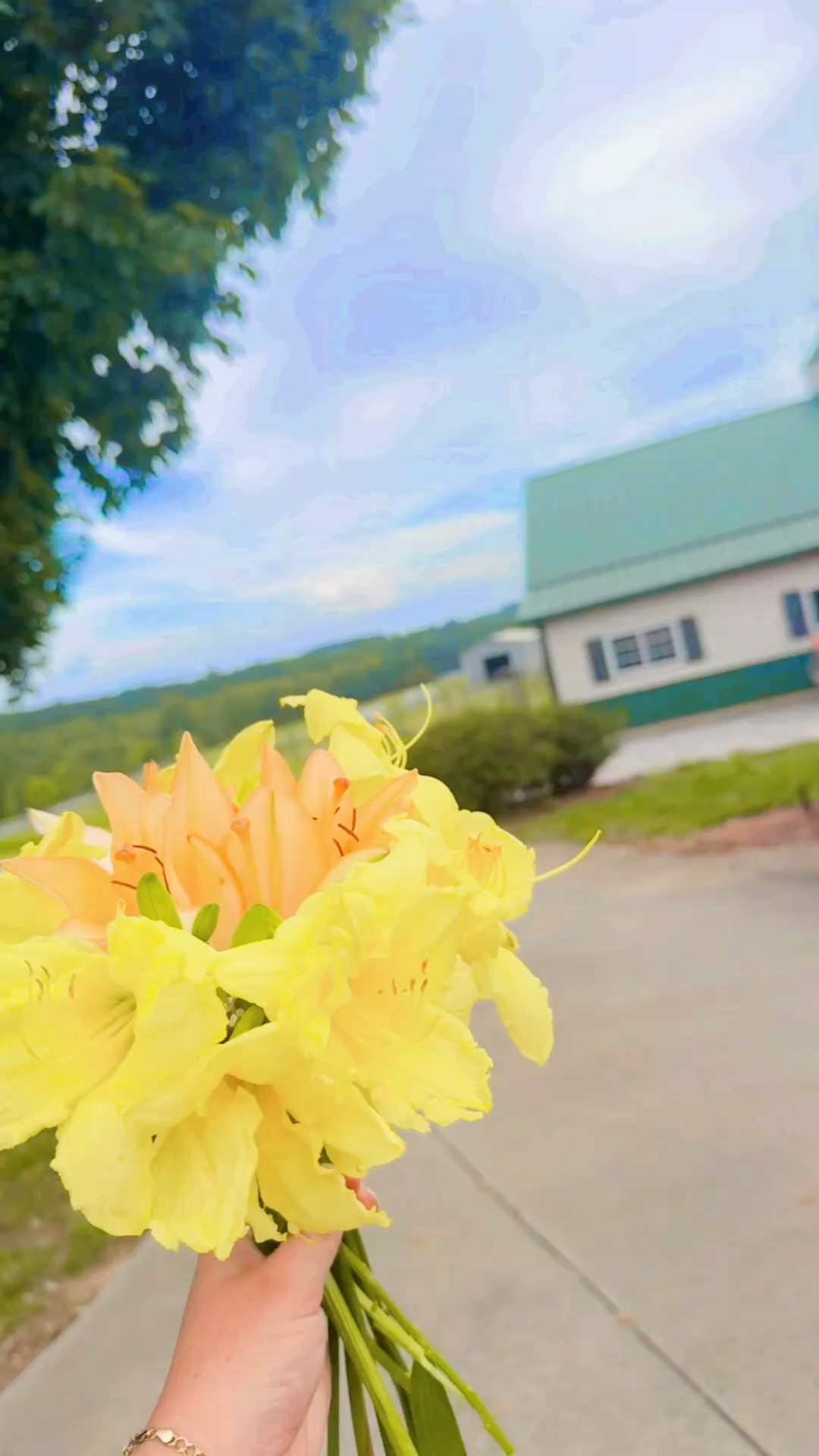Nothing I love more than having fresh homegrown flowers on the farm to pick and put in my home 🌼💐