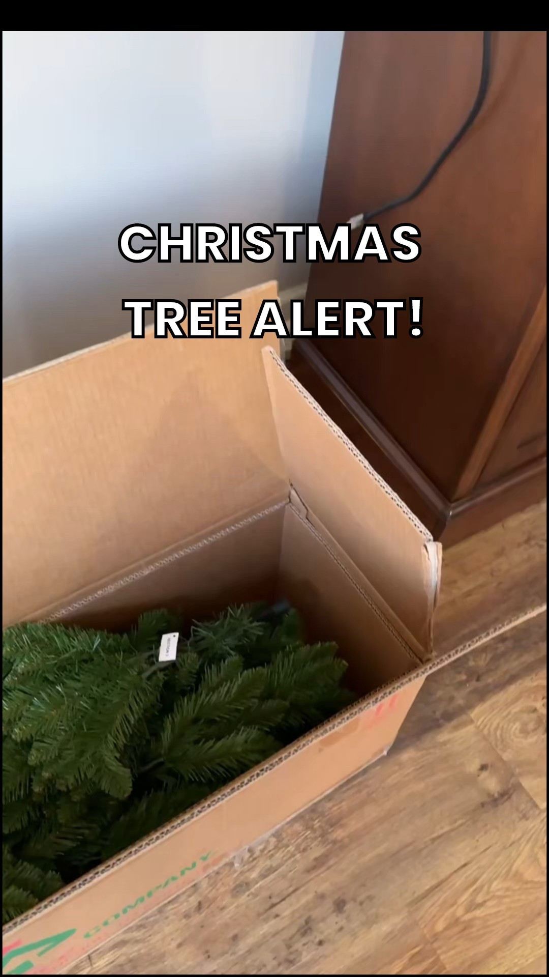 Slim, 7.5 ft. Kingswood Fir Christmas tree from National Tree Company!  Easy to install, 1,075 sturdy, bendable branches, and it’s so beautiful!  On sale, and ready to go into your holiday home!  

#LTKHoliday #LTKSaleAlert #LTKSeasonal