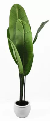 W Home 52-Inch Faux Banana Leaf Plant in White Ceramic Pot | Bed Bath & Beyond | Bed Bath & Beyond