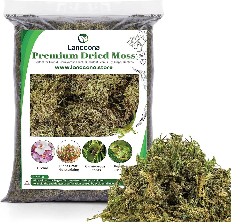 Lanccona Sphagnum Moss - 3 Quarts Dried Forest Moss for Orchid Moss Potting Mix Carnivorous Plant... | Amazon (US)