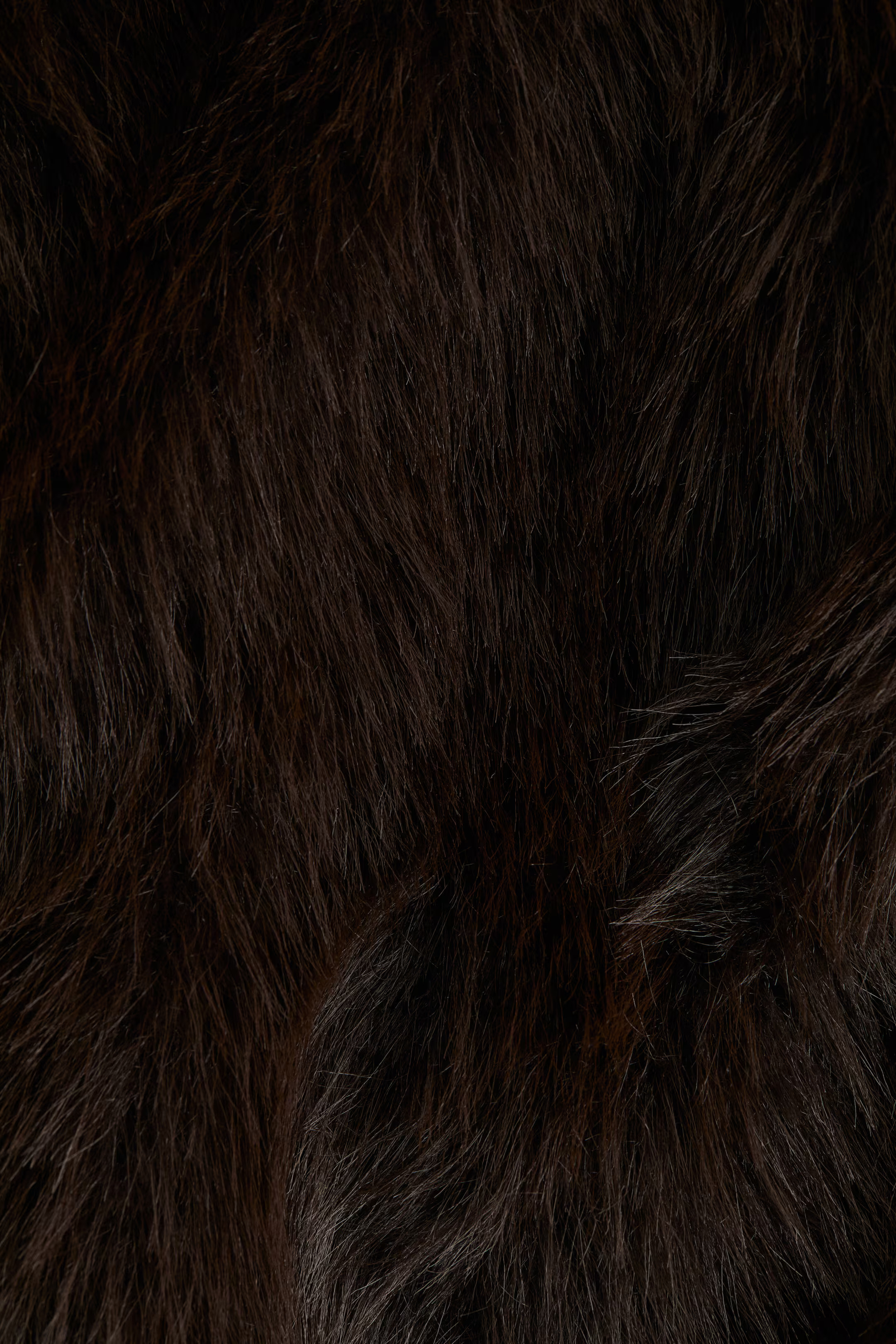 Cropped Fluffy Jacket | H&M (US + CA)