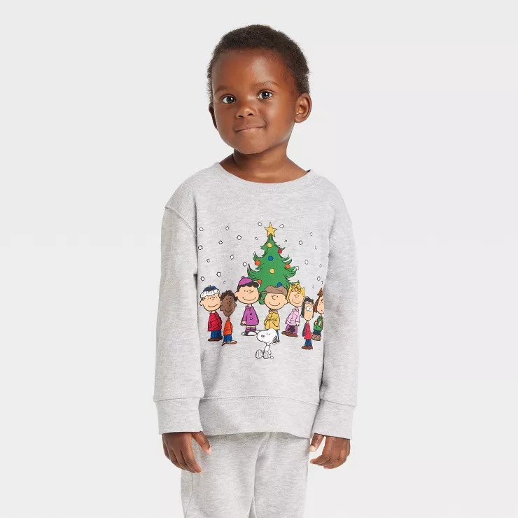 Toddler Peanuts Printed Pullover Sweatshirt - Gray | Target