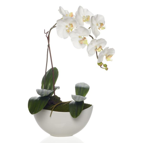 Faux Potted Phalaenopsis | Z Gallerie