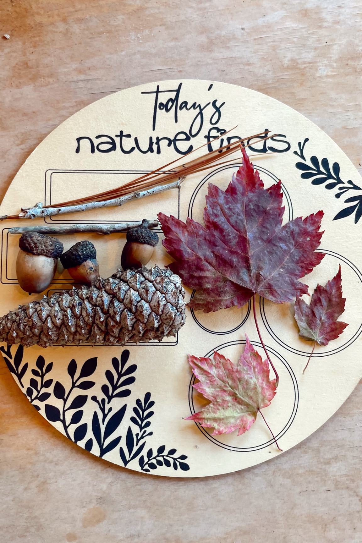Nature board 
Toddler montessori toys 
Toddler gifts 

#LTKKids #LTKGiftGuide #LTKFamily