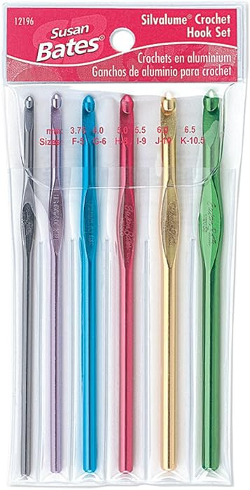 Susan Bates Silvalume Crochet Hook Set in Pouch Sizes F, G, H, I, J, K | Amazon (US)