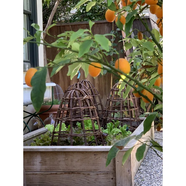 22'' H x 18'' W Wood Obelisk Trellis | Wayfair North America