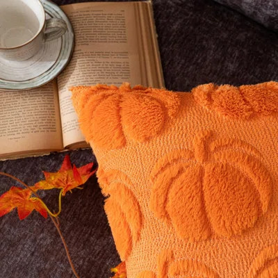 Set of 2 18"x18" Pumpkin Fall Decorative Throw Pillow Covers - Orange Soft Faux Fur, Fluffy Plush Accent Cases for Autumn Harvest, Farmhouse Couch & H | Wayfair North America