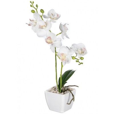Sullivans Artificial Mini Orchid Potted Plant 11"H Green | Target