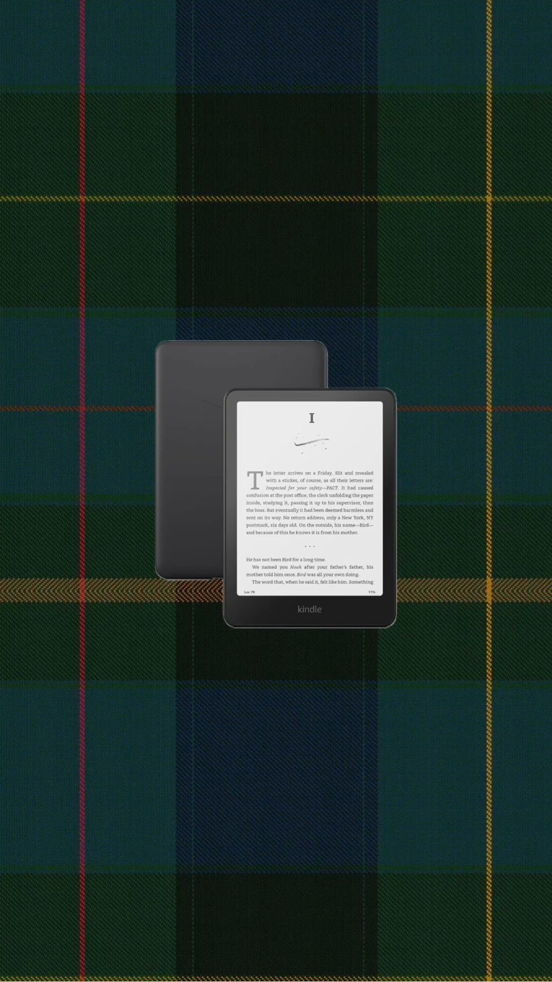 Every reader needs a kindle and i stand by that!

#LTKHoliday #LTKGiftGuide