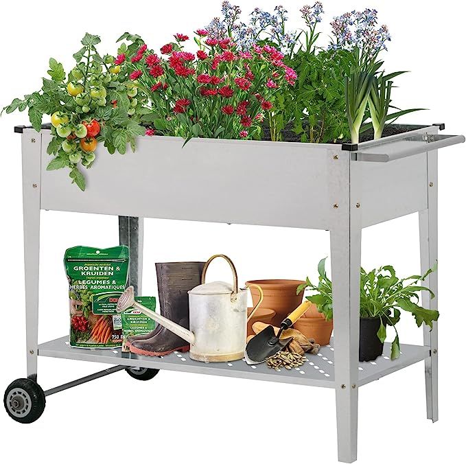 LEISURELIFE Raised Garden Bed for Gardening with Wheel Metal Grid ,Elevated Galvanized Metal Plan... | Amazon (US)