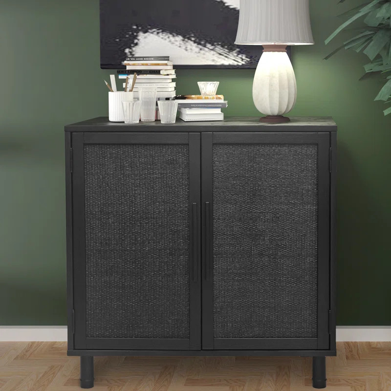 Delancey 2 Door Rattan Accent Cabinet | Wayfair North America