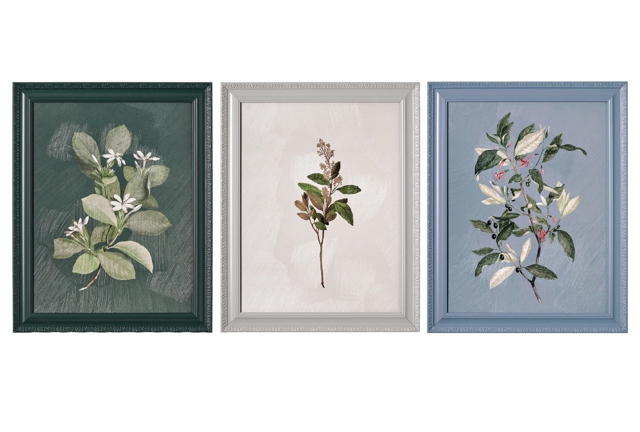 Beautiful by Drew Framed Vintage Botanical Color Block set of 3!

#LTKHome #LTKFindsUnder50 #LTKStyleTip