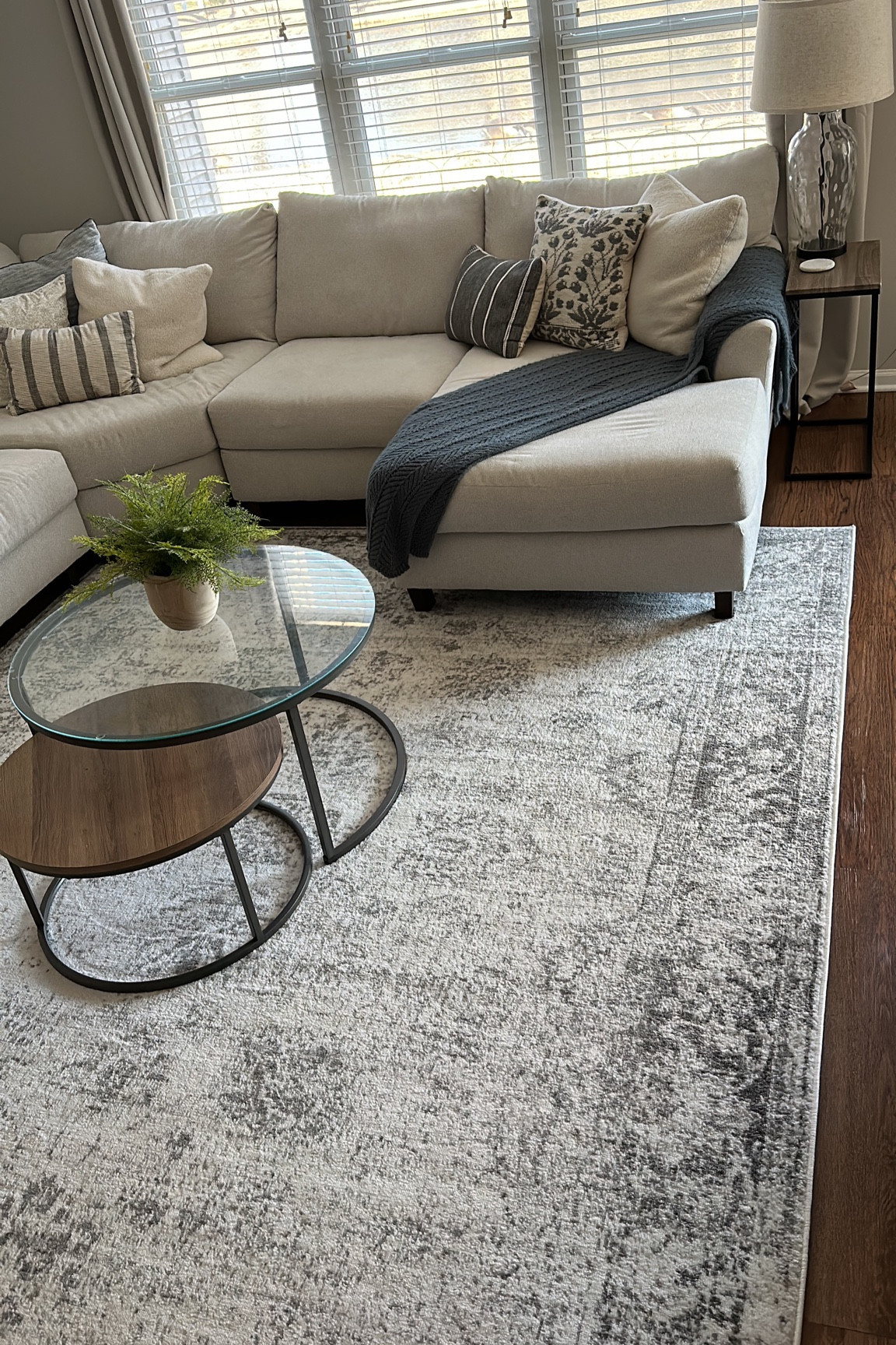 My favorite rug is on MAJOR sale!!!!!! Only $100 for 8 x 10 size😱😱 so so good!!!! 

#LTKFind #LTKhome #LTKunder100