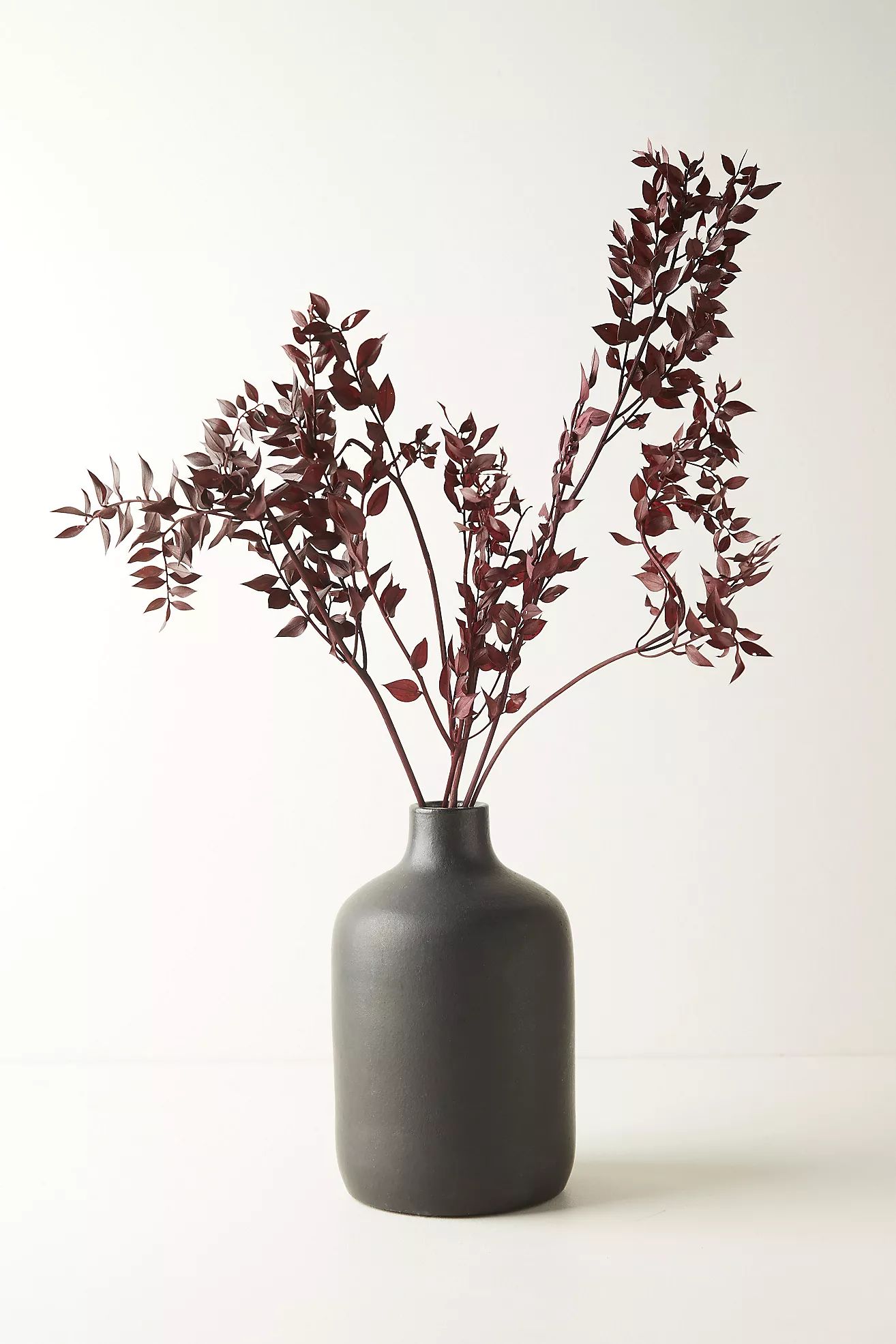 Preserved Ruscus Bunch, Burgundy | Anthropologie (US)