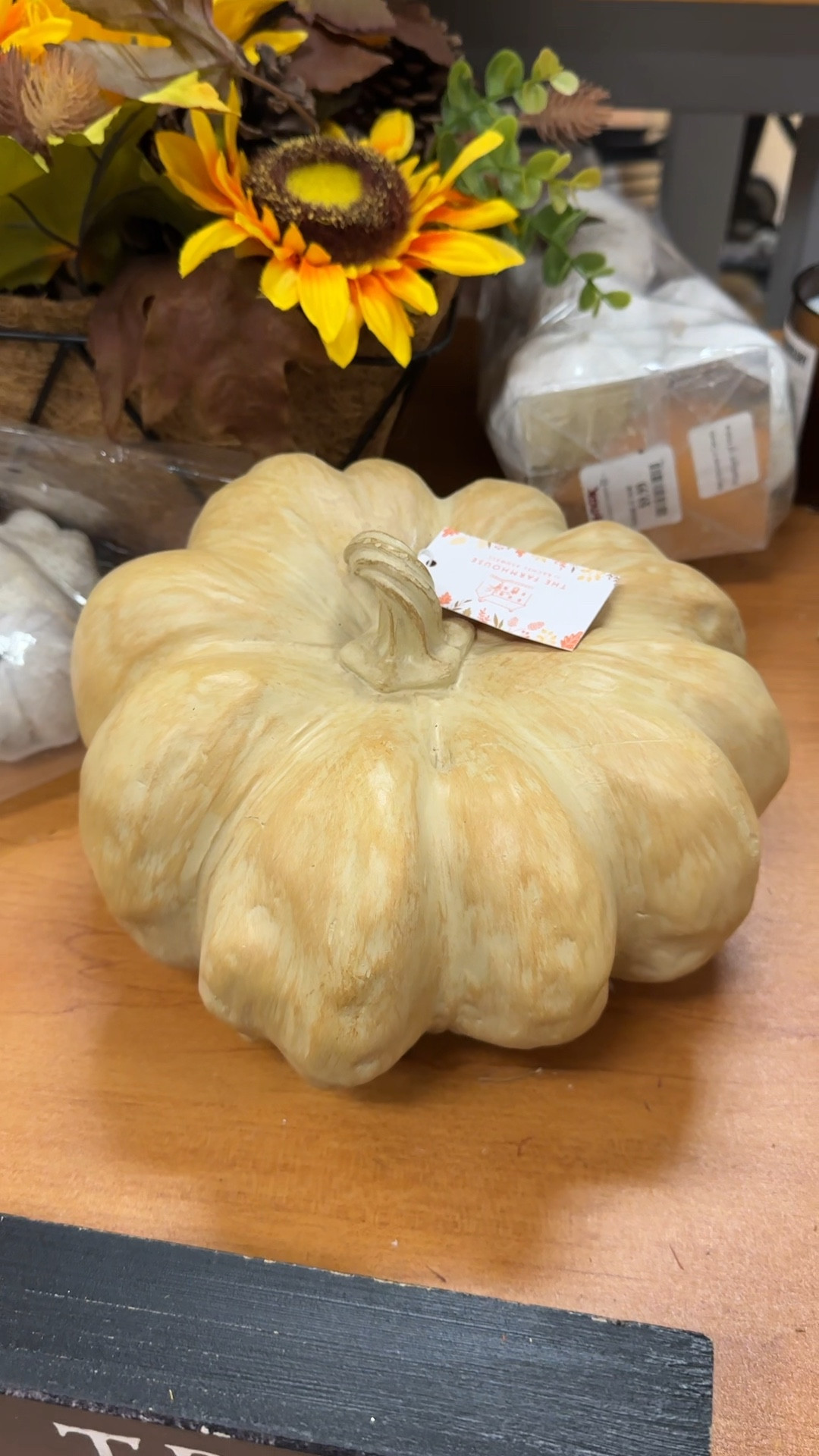 Halloween decor from TJ Maxx

Heirloom pumpkin decor. Indoor pumpkin decor. Fall decor.

#LTKHome #LTKHalloween #LTKSaleAlert