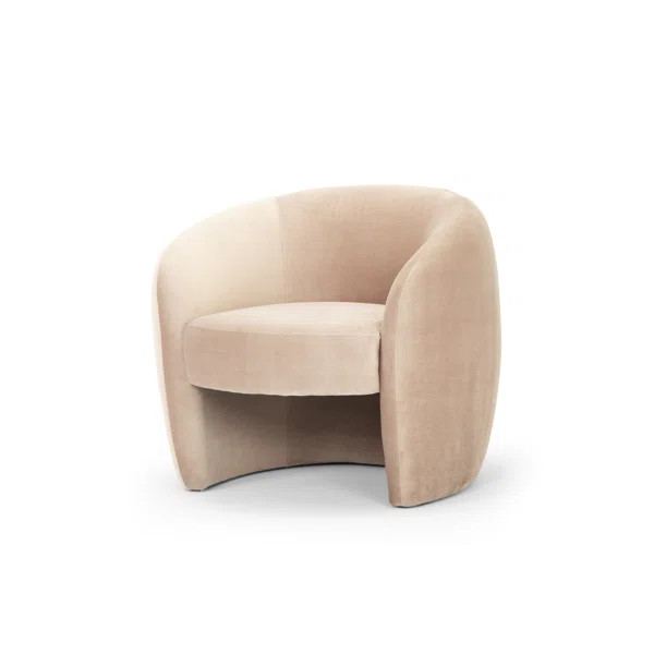 Natalie 24" Barrel Chair | Wayfair North America