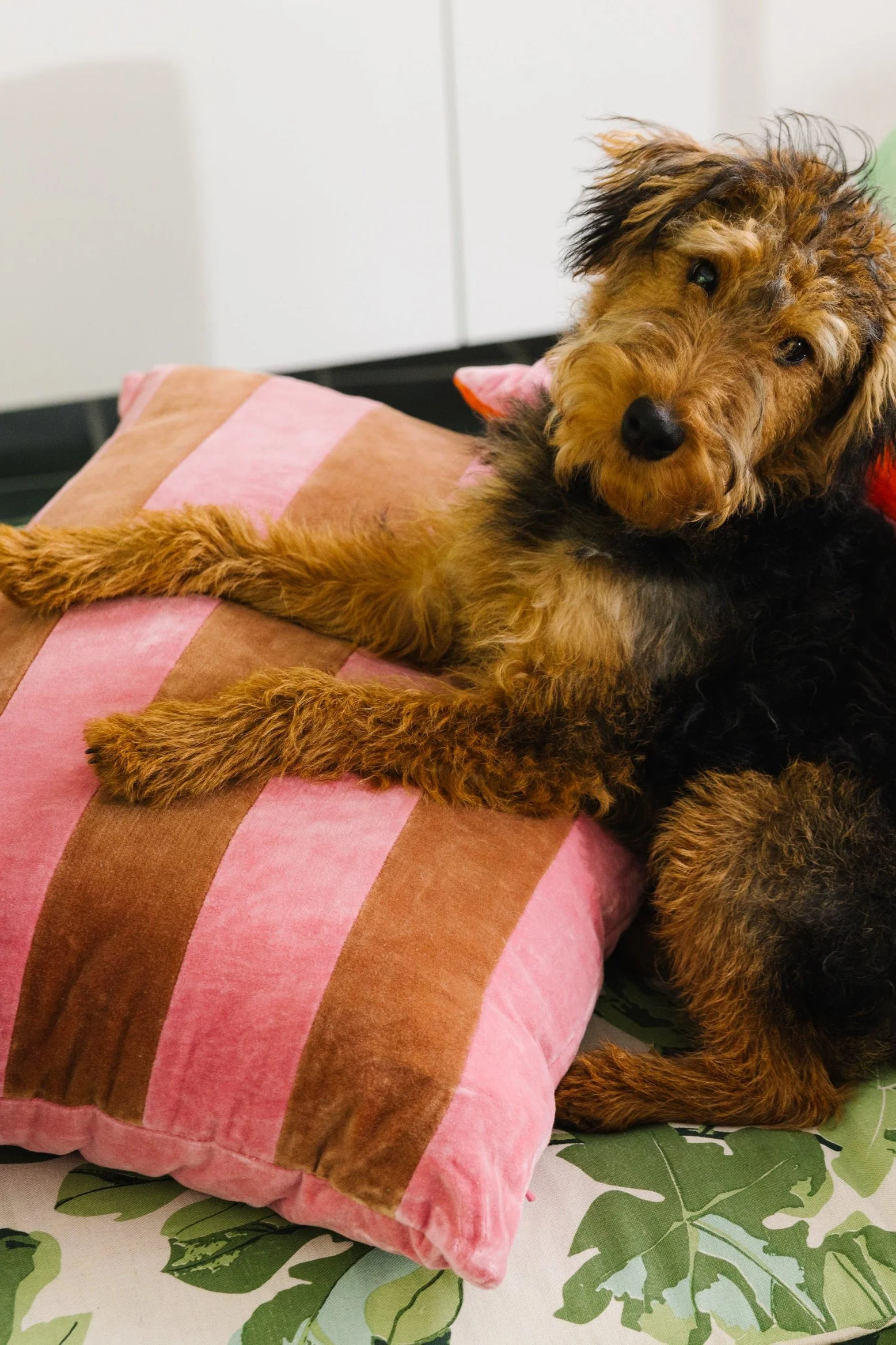 Furbish Studio - Striped Velvet Lumbar Pillow - Light Pink + Rust | Furbish Studio