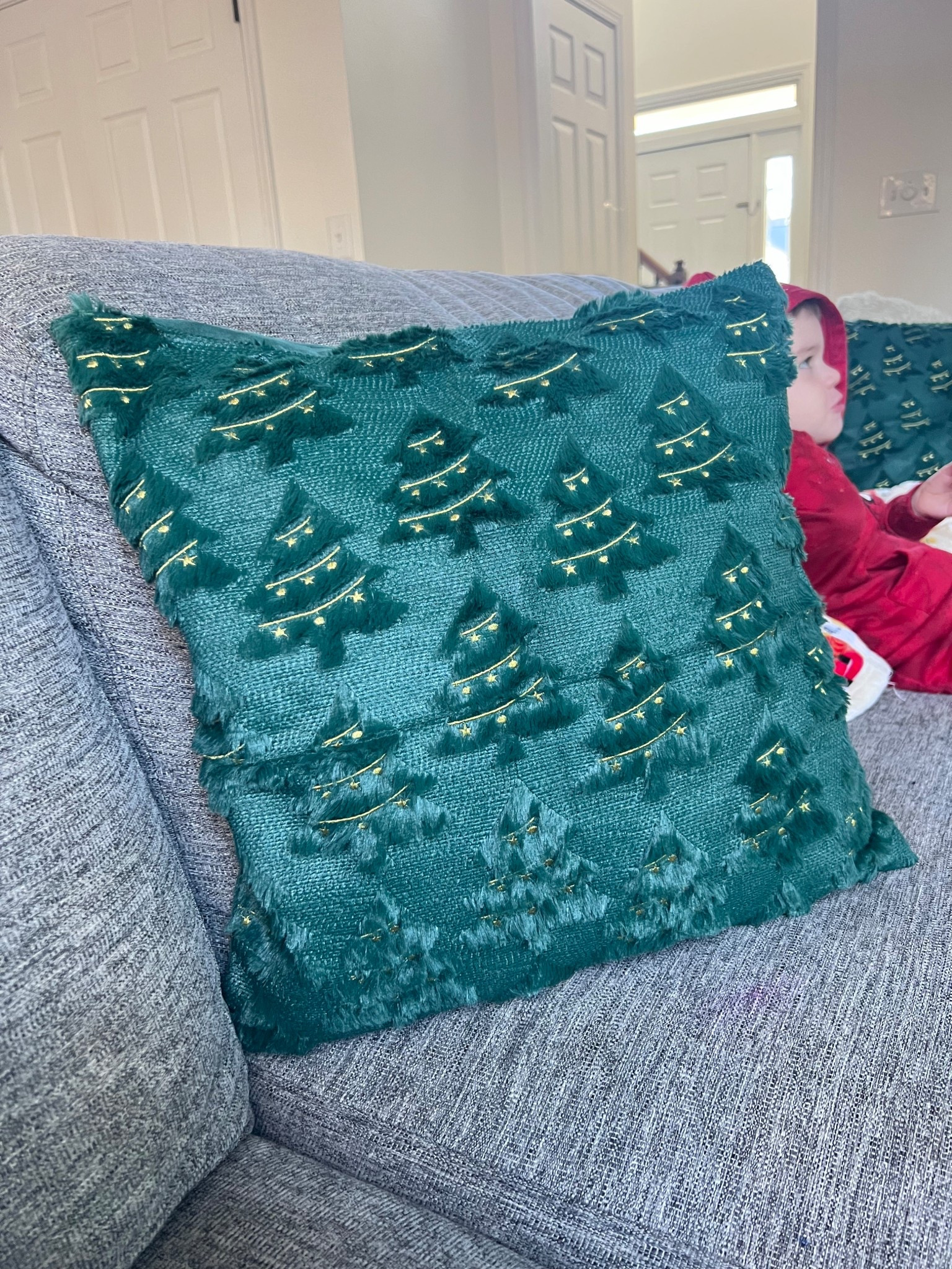 These pillow cases are STUNNING!!! 

#LTKFindsUnder50 #LTKHoliday #LTKHome
