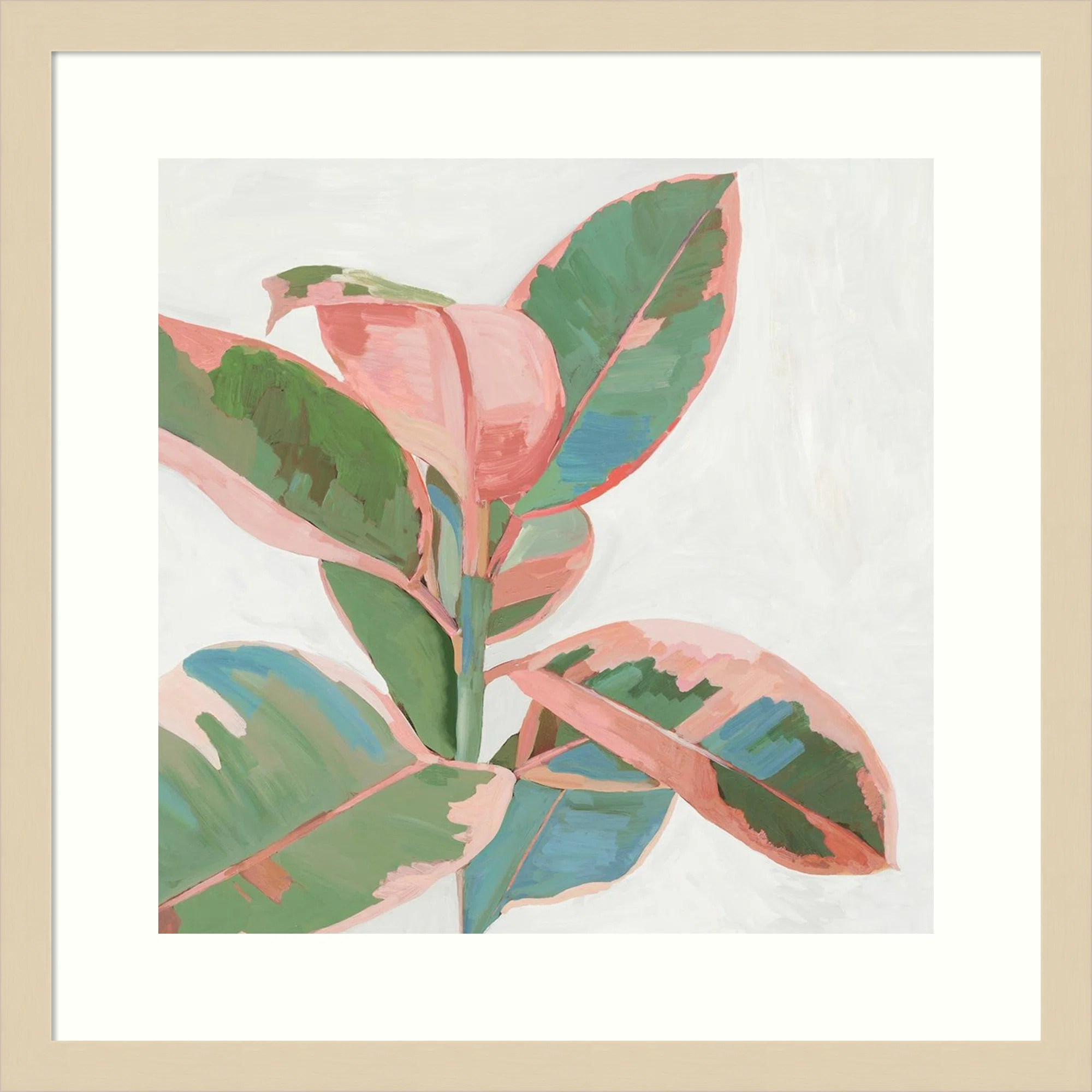 Pink Ficus I by Asia Jensen | Joss & Main