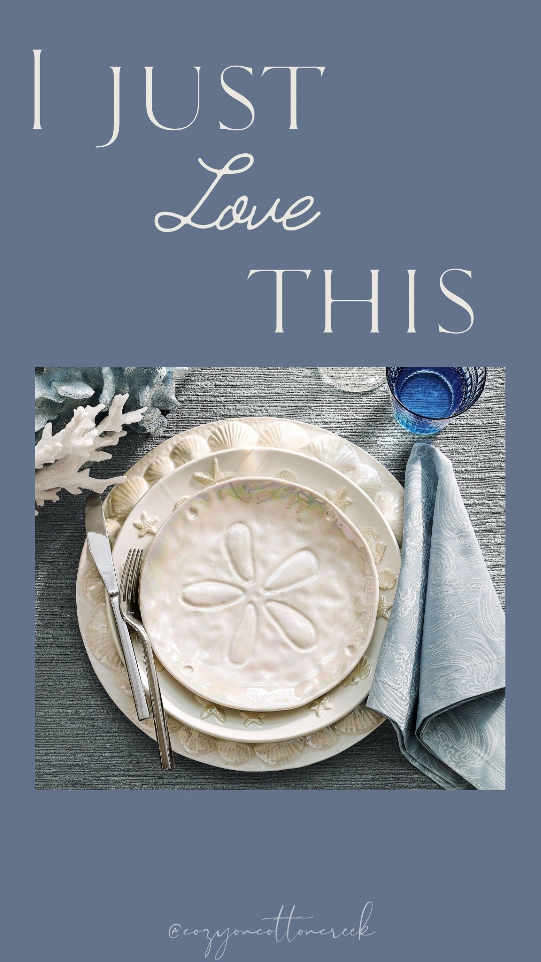 Coastal plate setting
Pottery barn finds!

#LTKHome