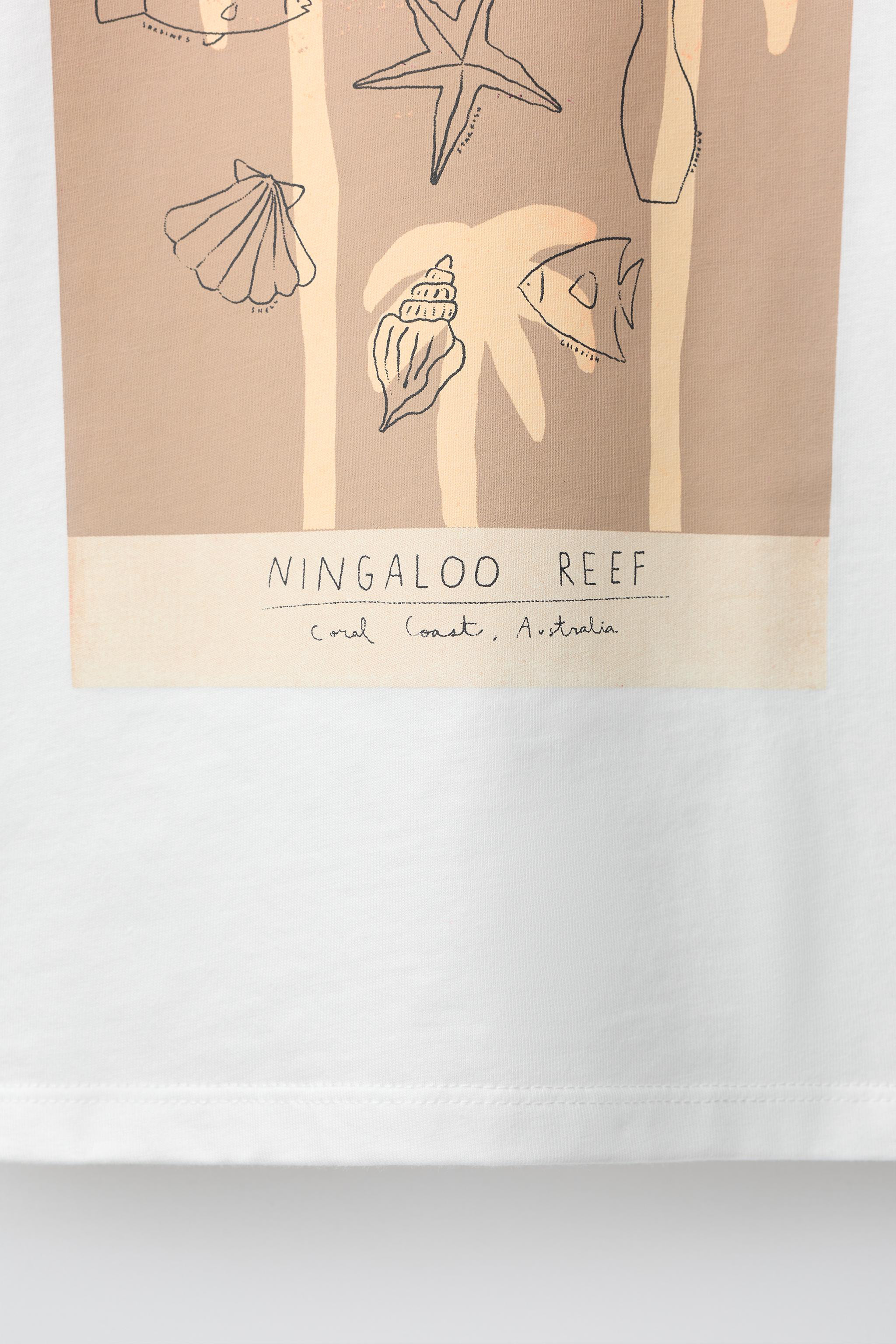 EMBROIDERED TEXT T-SHIRT | Zara UK