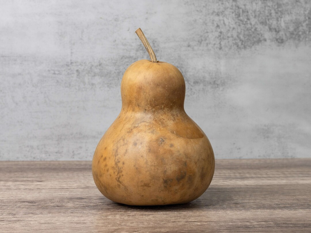 Dried Bottle Gourd 6 Diameter, Medium Gourd for Crafts and Decorating - Etsy | Etsy (US)