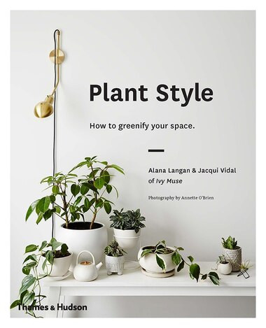 Plant Style: How To Greenify Your Space | Indigo (CA)