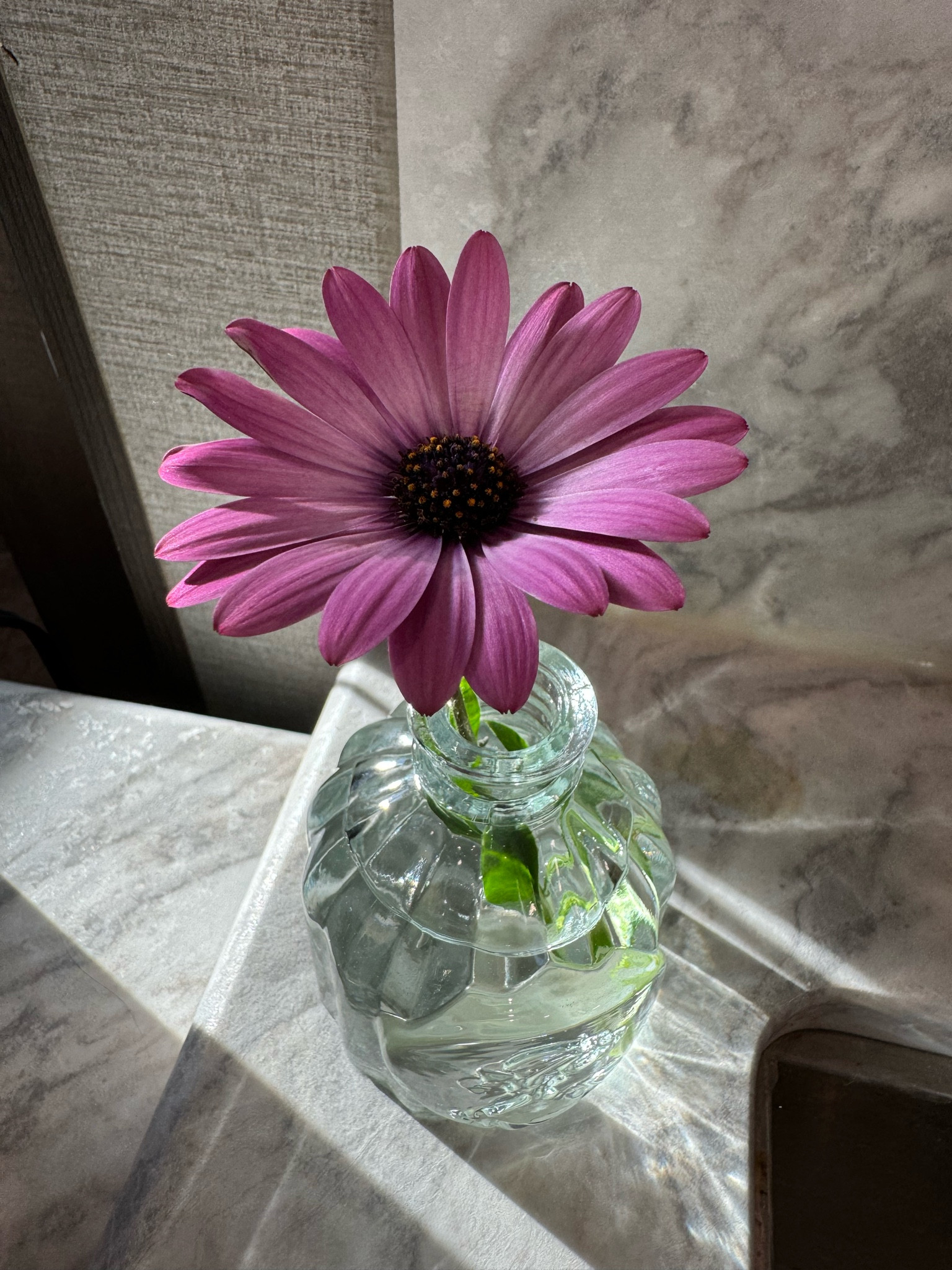 ✨🌸 Bud vases! 🌸✨

#LTKhome #LTKSeasonal