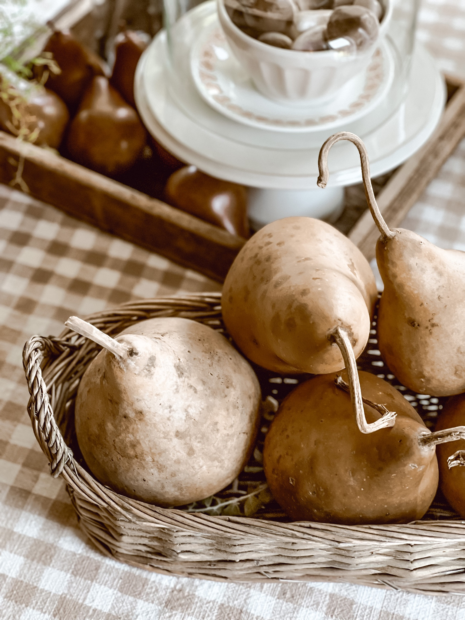 Fall dried gourds for a cozy cottage fall home. 🍂

#LTKFind #LTKSeasonal #LTKhome
