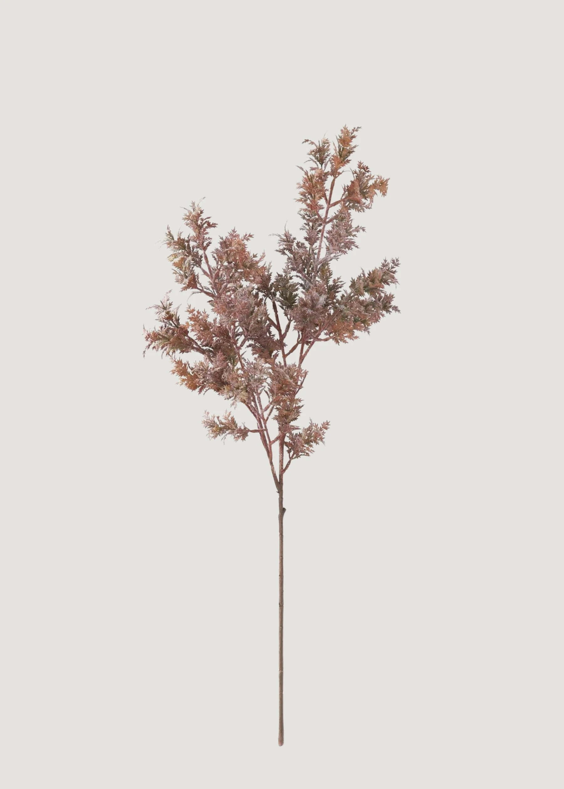 Cypress Branch in Burgundy | Artificial Fall Foliage at Afloral | Afloral