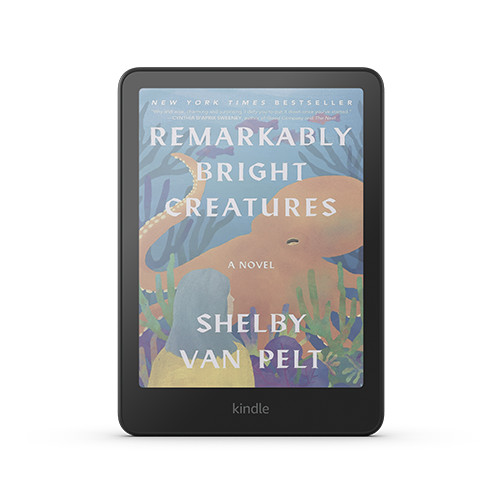 Amazon Kindle Colorsoft 16 GB (newest model) – With color display and adjustable warm light –... | Amazon (US)