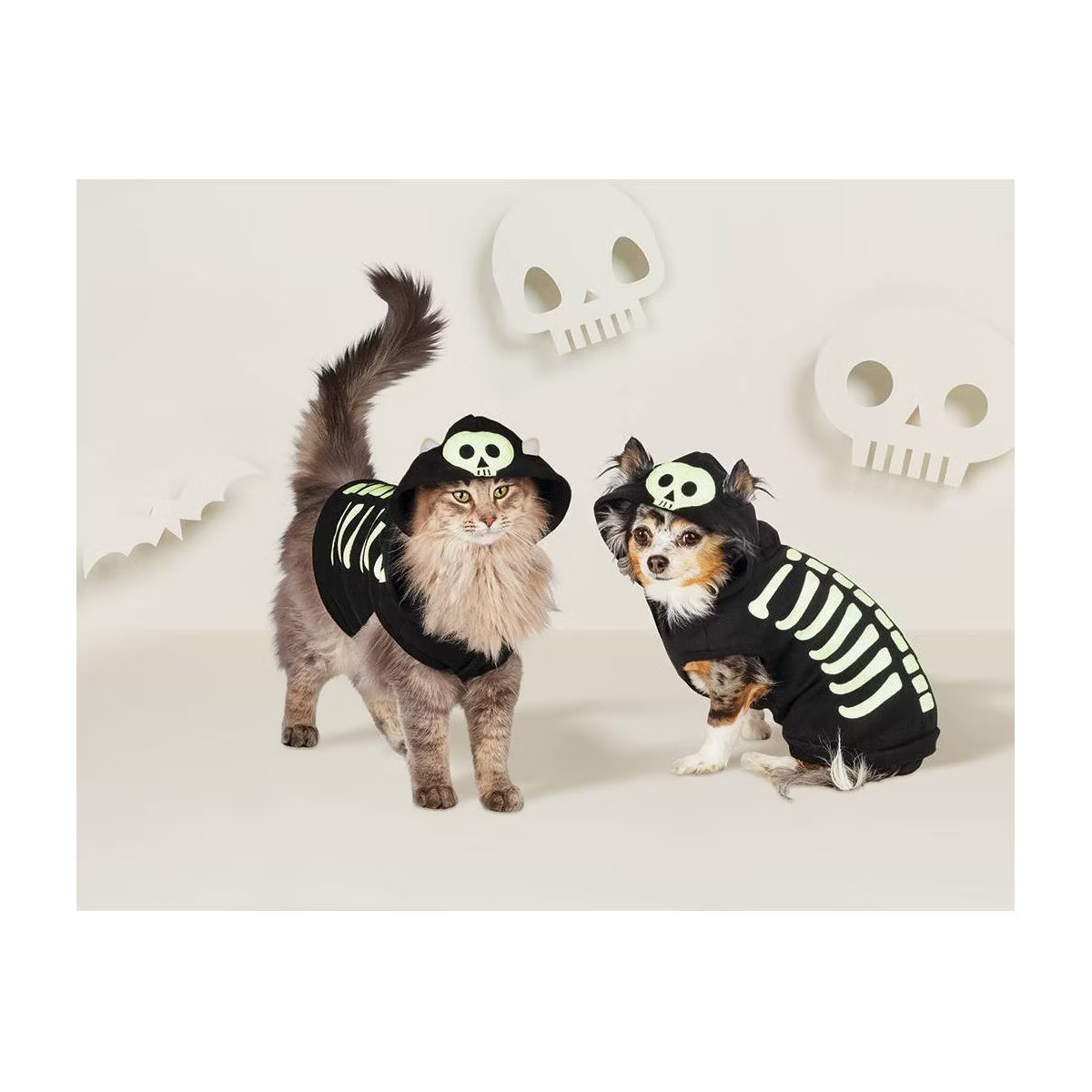 Skeleton Glow Hoodie Halloween Dog and Cat Costume - Hyde & EEK! Boutique™ | Target