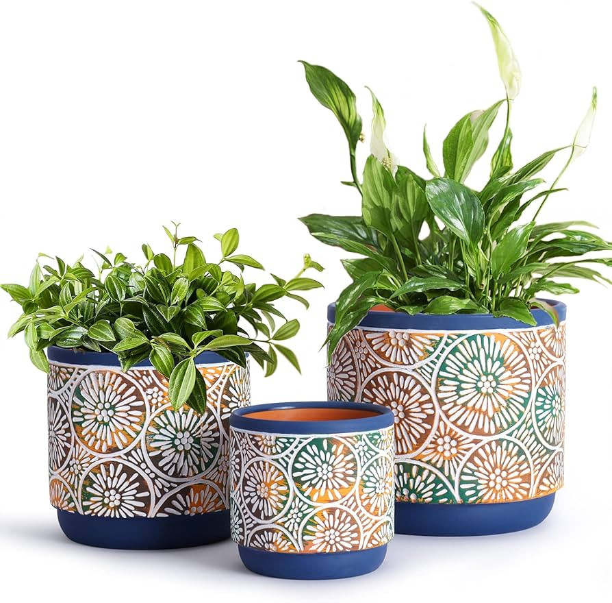 DeeCoo 3 Piece Ceramic Plant pots Indoor Pots Set with Drainage Holes, 5.7/4.7/3.5/inch, Modern D... | Amazon (US)