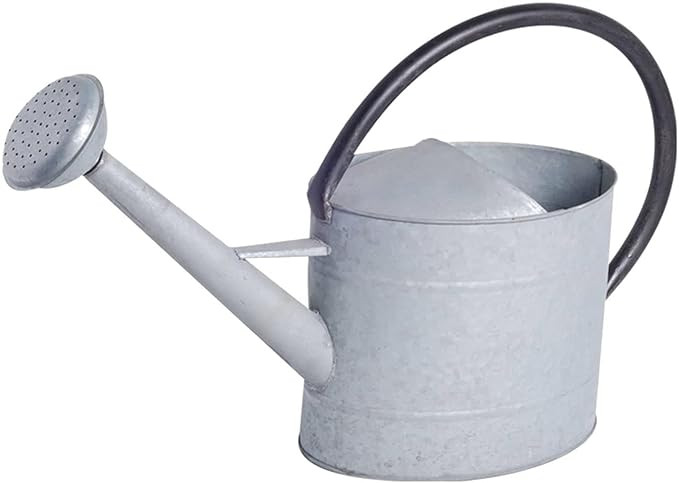 Tierra Garden 36-5041S Oval Aged Watering Can, 0.7-Gallon, Zinc | Amazon (US)
