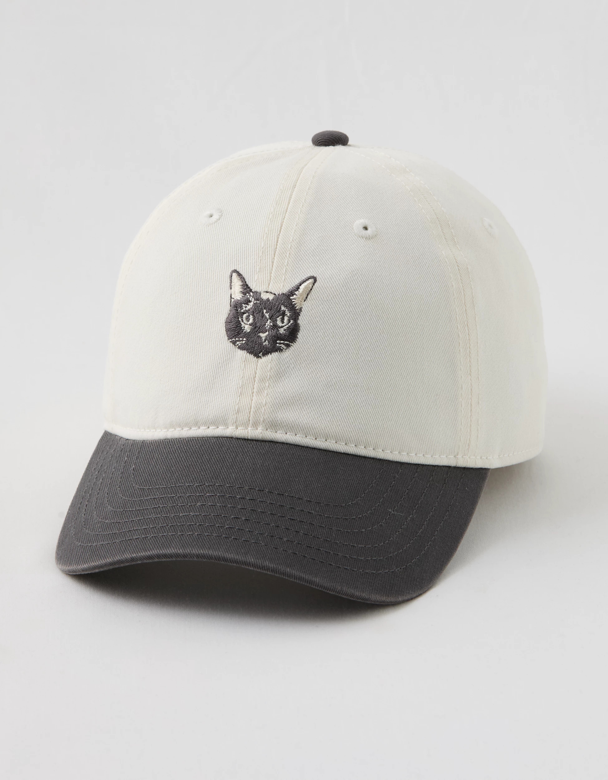 Aerie Colorblock Baseball Hat | Aerie