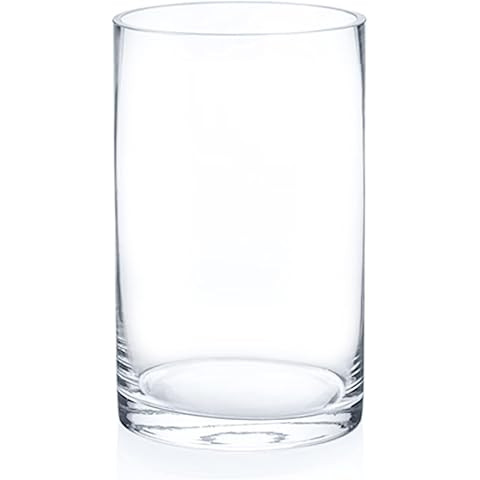 WGV Cylinder Vase, Width 8", Height 10", Clear Wide Large Diameter Flower Glassware, Floral Conta... | Amazon (US)