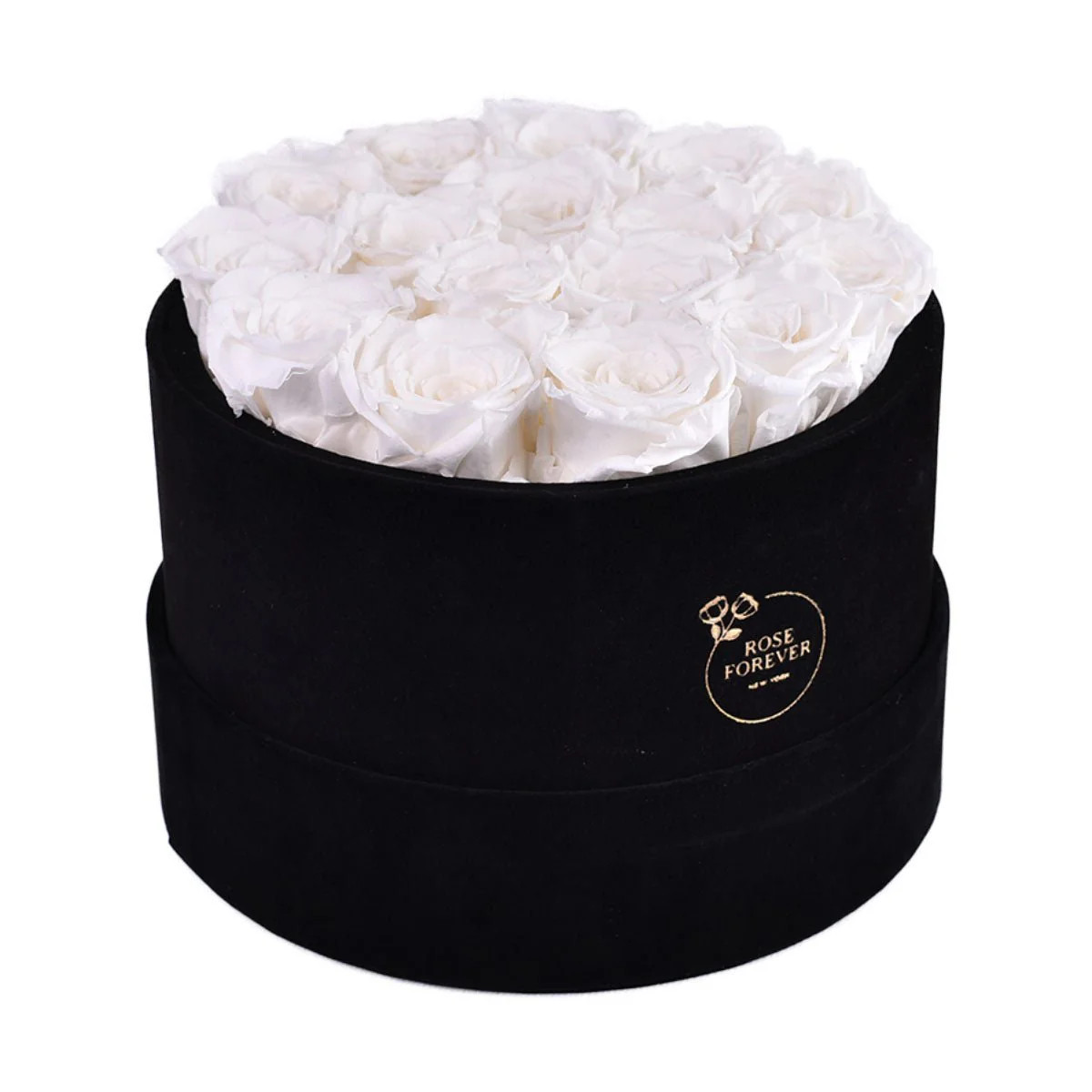 16 White Roses - Round Velvet Box | Rose Forever 