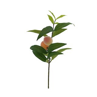 Peach Pick by Ashland® | Michaels Stores