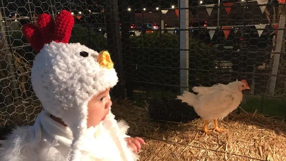 Read the full title
    Baby Hat - Chicken Hat - Baby Hat -  Baby Chicken Hat -  Chicken Hat - So... | Etsy (US)