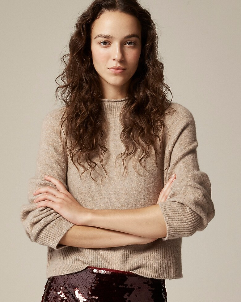 Rollneck™ sweater in Supersoft yarn | J. Crew US