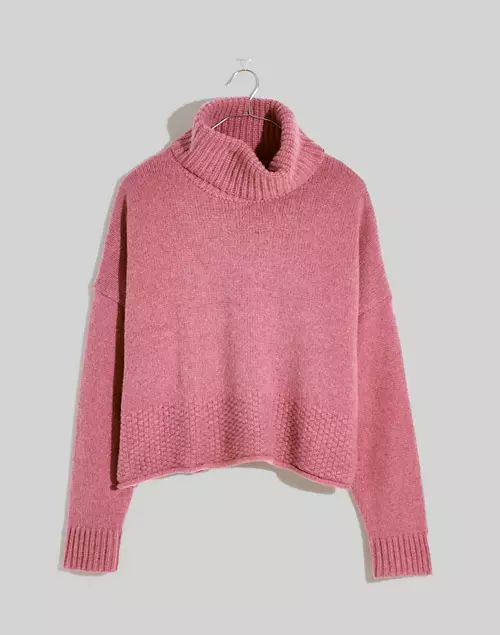 Sadler Turtleneck Sweater | Madewell