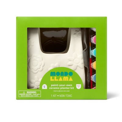 Floral Shopping Bag Ceramic Planter Painting Craft Activity Kit - Mondo Llama™ | Target