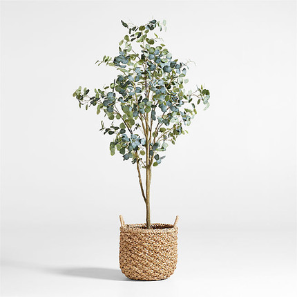 Faux Silver Dollar Eucalyptus Tree