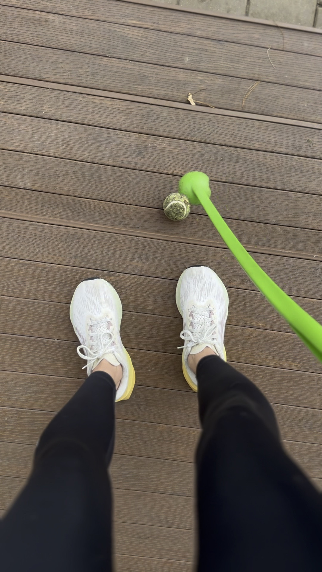 Our Blue Heeler, Nordy LOVES playing fetch. Every.Single.Day! 🫶🐶

#LTKfamily #LTKfitness #LTKVideo
