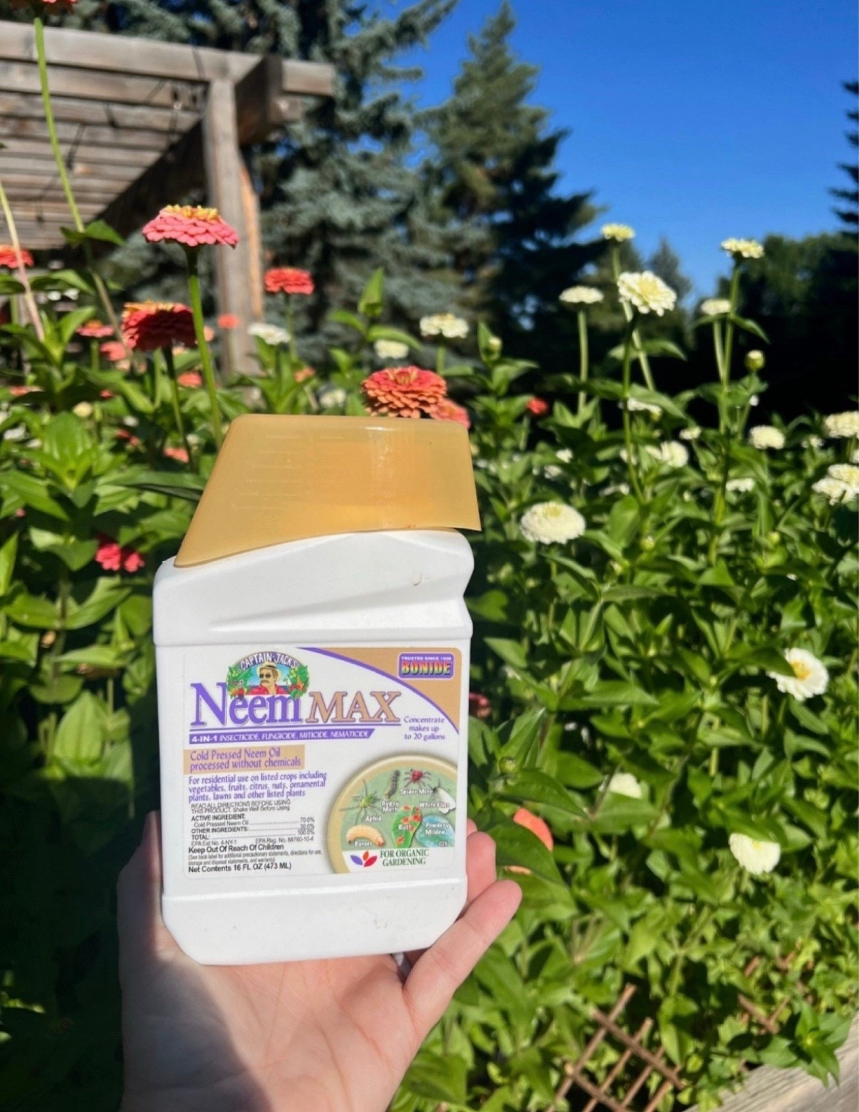 Neem oil has become one of those staples I always keep nearby in the garden! It helps with pests and common plant issues in a really gentle way. Such a good one to have on hand when you want your plants looking their best 🌿


#LTKHome #LTKU #LTKSeasonal