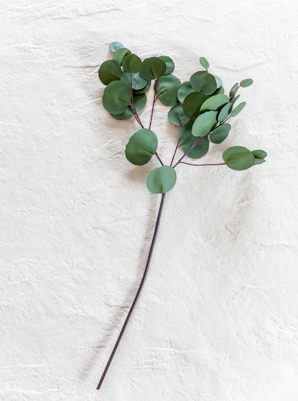 Faux Eucalyptus Leaf Stem | House of Jade Home