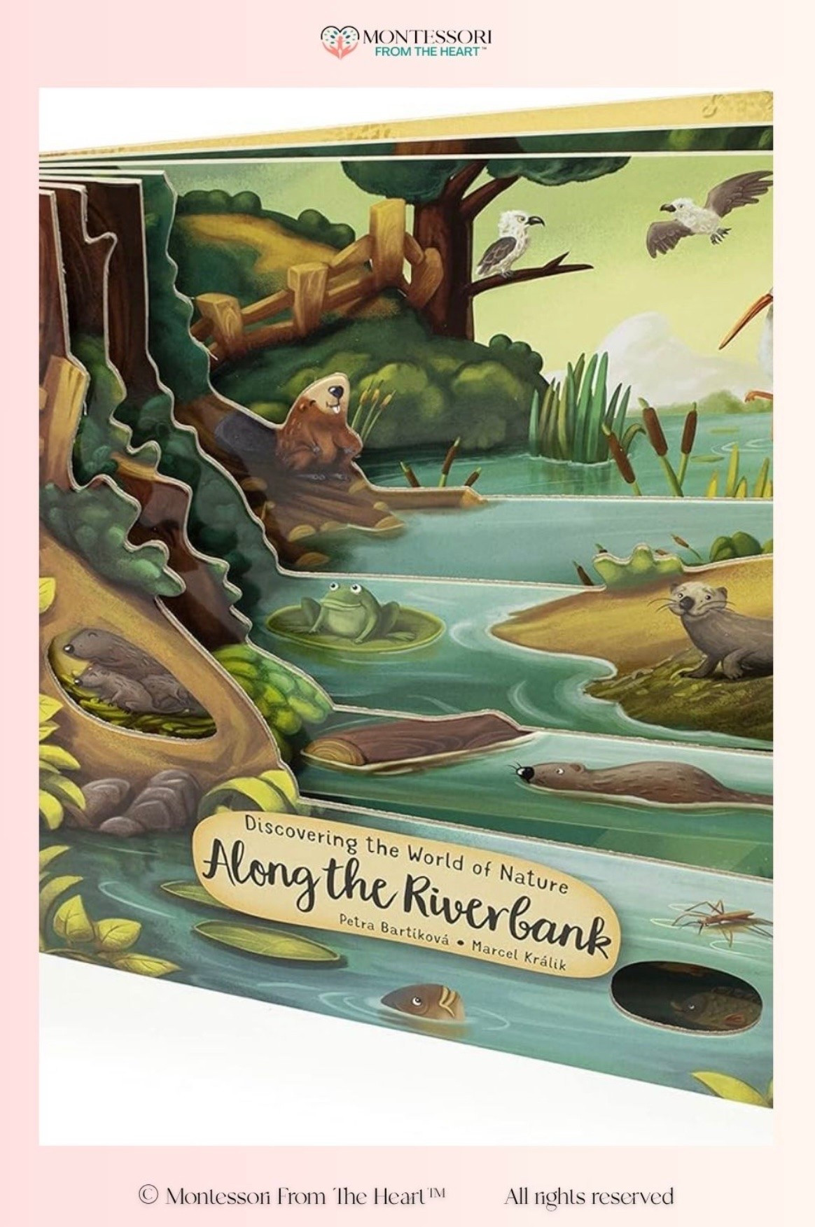 Along the Riverbank ~ Book for Kids

#LTKhome #LTKkids #LTKfamily