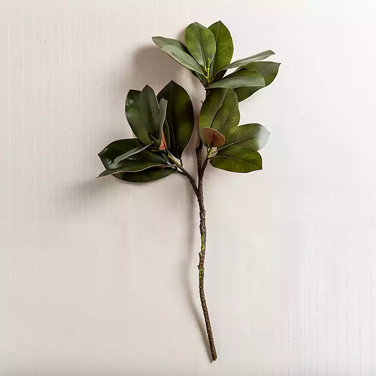 Winter Magnolia Leaf Stem | Kirkland's Home